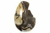 Septarian Dragon Egg Geode - Black Crystals #304613-1